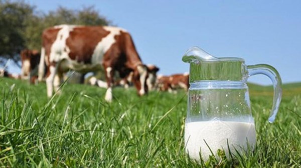 Khám phá 5 đặc quyền chỉ dành cho tín đồ của sữa organic chuẩn Hà Lan - ảnh 1