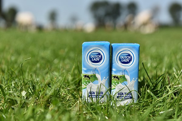 Độ an toàn của sữa tươi Cô gái Hà Lan tăng từ 10 lên 11 lần so với chuẩn Việt Nam - ảnh 2