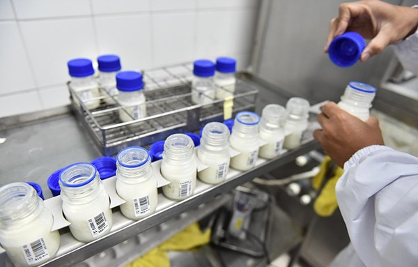 Khám phá 5 đặc quyền chỉ dành cho tín đồ của sữa organic chuẩn Hà Lan - ảnh 3