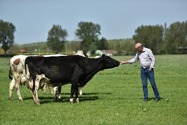 Khám phá 5 đặc quyền chỉ dành cho tín đồ của sữa organic chuẩn Hà Lan - ảnh 4