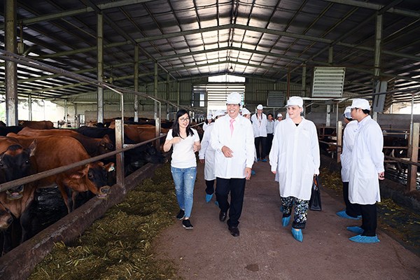 Thứ trưởng Hà Lan thăm Dự án Phát triển vùng chăn nuôi bò sữa bền vững của Sữa cô gái Hà Lan - ảnh 1