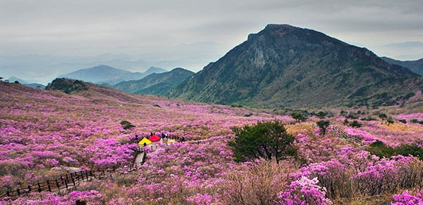 Khám phá vùng đất của những vẻ đẹp tiềm ẩn tại Hàn Quốc - ảnh 2