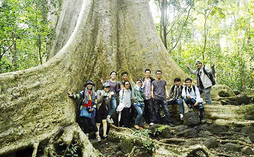 Tìm giải pháp phát triển du lịch sinh thái vùng Đông Nam Bộ - ảnh 2