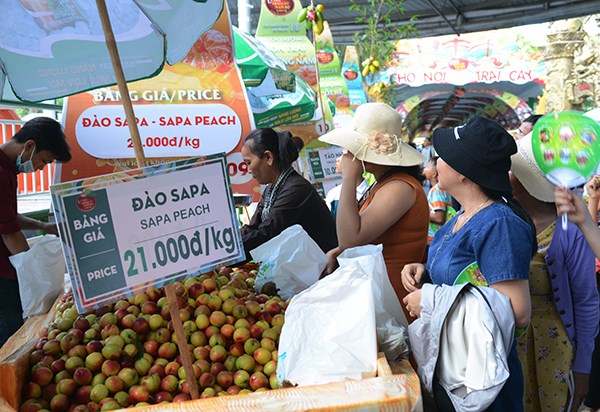 Lễ hội trái cây Nam Bộ phục vụ du khách suốt ba tháng hè - ảnh 4