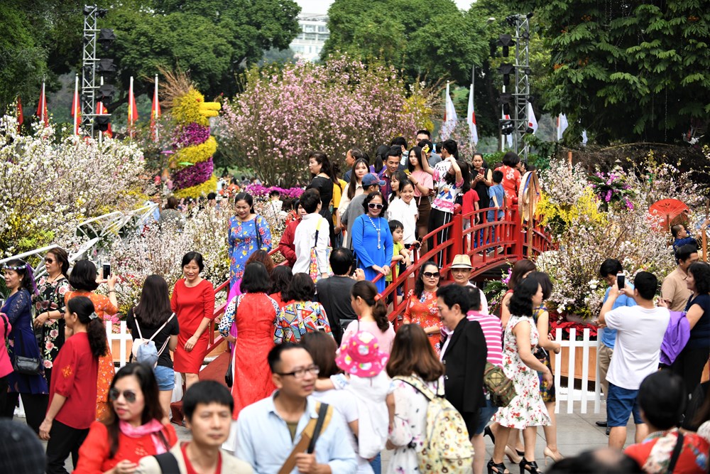 Lễ hội hoa anh đào Nhật Bản- Hà Nội 2019 - ảnh 5