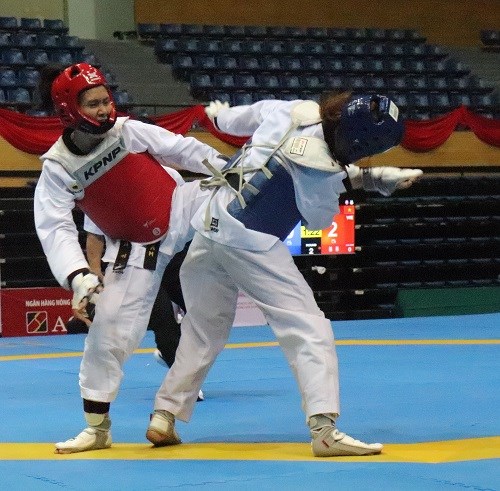 300 VĐV thi đấu tại Giải Vô địch Taekwondo quốc gia 2019 - ảnh 3