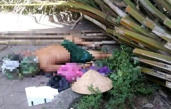 Nghệ An: Cây cọ dừa bật gốc đè chết người trong công viên - ảnh 1