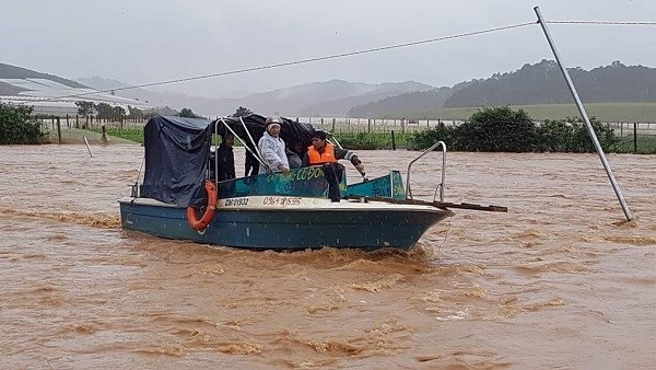 Lâm Đồng: Mưa lớn kéo dài, ngập lụt trên diện rộng, 1 người chết - ảnh 3