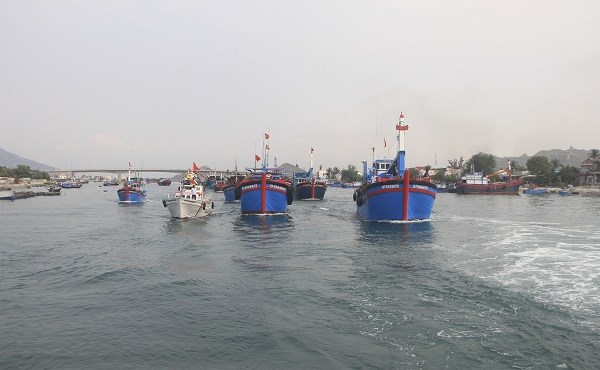Ninh Thuận: Thả hơn 1 triệu tôm sú và hơn 2.000 con cá - tái tạo nguồn lợi thủy sản - ảnh 2