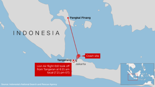 Máy bay Indonesia rơi xuống biển: Trục vớt những thi thể đầu tiên - ảnh 4