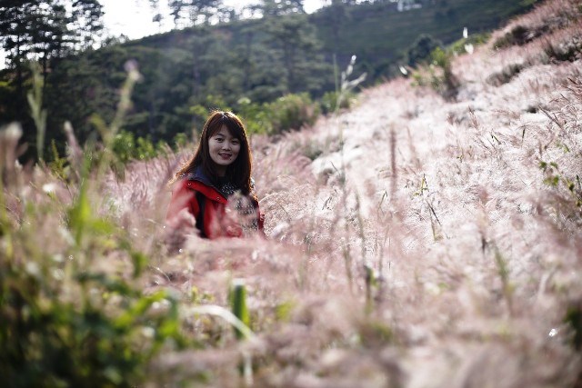 Lâm Đồng: Những đồi cỏ hồng tuyệt đẹp “hút” khách du lịch - ảnh 6