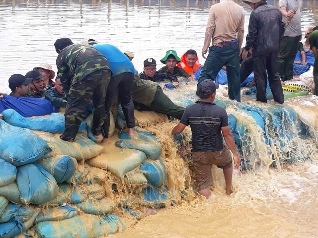 Đắk Lắk: Vỡ đê bên sông Krông Ana, hàng ngàn ha lúa bị nhấn chìm - ảnh 1