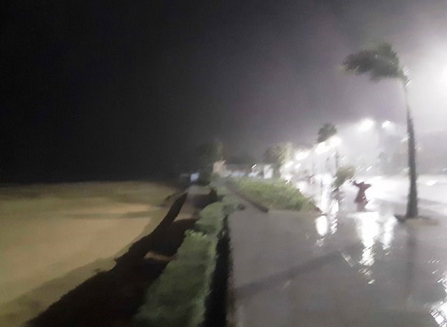 Cận cảnh bão số 5 giật cấp 12 đổ bộ vào Bình Định - ảnh 3