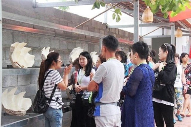 Khánh Hòa: Thu hồi 37 thẻ HDV du lịch quốc tế không rõ nguồn gốc - ảnh 1