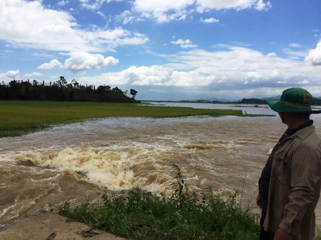 Đắk Lắk: Vỡ đê bên sông Krông Ana, hàng ngàn ha lúa bị nhấn chìm - ảnh 2