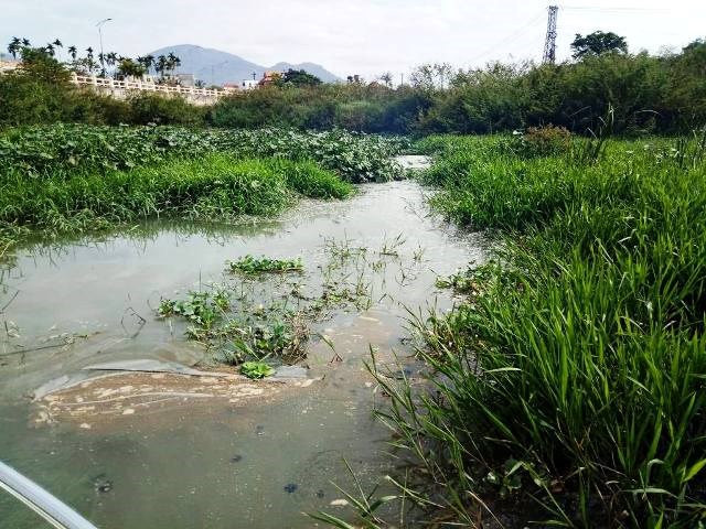 Khánh Hòa: Sông Cái bị “bức tử” vì rác, nước thải ảnh hưởng môi trường du lịch - ảnh 1