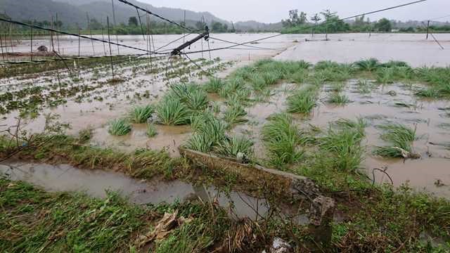 Đắk Lắk:  Mưa lớn sau bão số 6, gây ngập nghiêm trọng - ảnh 7