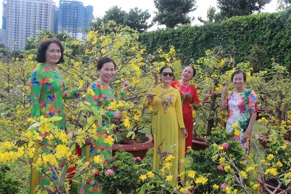 Khánh Hòa: Hàng vạn du khách tham quan miễn phí vườn mai lớn nhất phố biển Nha Trang - ảnh 3
