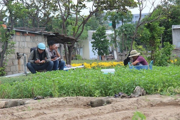 Ninh Thuận: Làng hoa Mỹ Bình khoe sắc đón Xuân - ảnh 7