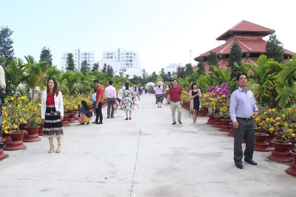 Khánh Hòa: Hàng vạn du khách tham quan miễn phí vườn mai lớn nhất phố biển Nha Trang - ảnh 1