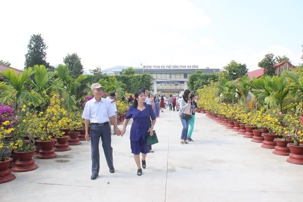 Khánh Hòa: Hàng vạn du khách tham quan miễn phí vườn mai lớn nhất phố biển Nha Trang - ảnh 12