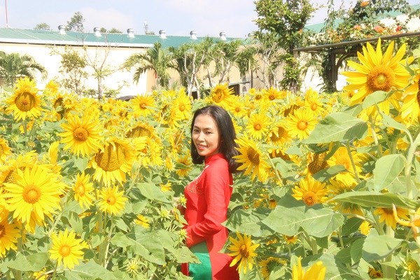 Khánh Hòa: Hàng vạn du khách tham quan miễn phí vườn mai lớn nhất phố biển Nha Trang - ảnh 6