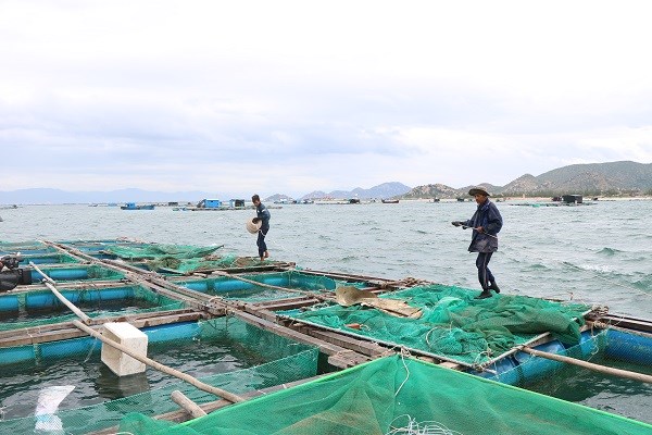 Ninh Thuận: Kiên quyết cưỡng chế nếu ngư dân không vào nơi tránh bão - ảnh 2