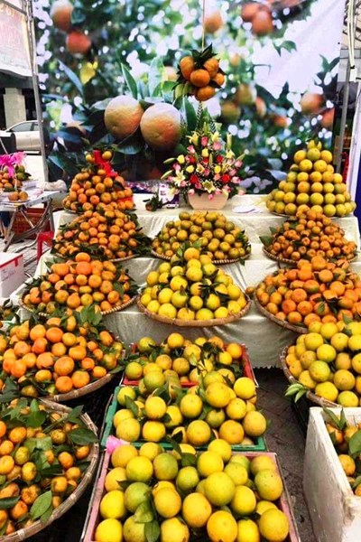 Hà Tĩnh: Lễ hội cam và các sản phẩm nông nghiệp tôn vinh thương hiệu sản phẩm nhà nông - Anh 5