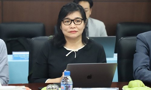 Bà Hoàng Thị Minh Hồng và Ngô Thị Tố Nhiên bị bắt tạm giam vì vi phạm pháp luật - Anh 1