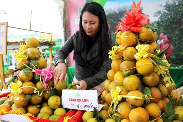 Hà Tĩnh: Lễ hội cam và các sản phẩm nông nghiệp tôn vinh thương hiệu sản phẩm nhà nông - Anh 7