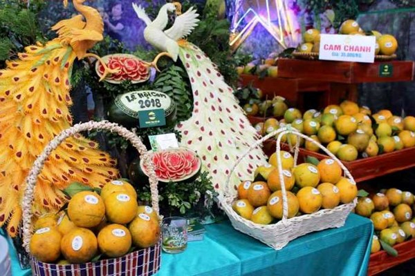 Hà Tĩnh: Lễ hội cam và các sản phẩm nông nghiệp tôn vinh thương hiệu sản phẩm nhà nông - Anh 8