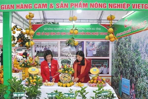 Hà Tĩnh: Lễ hội cam và các sản phẩm nông nghiệp tôn vinh thương hiệu sản phẩm nhà nông - Anh 6