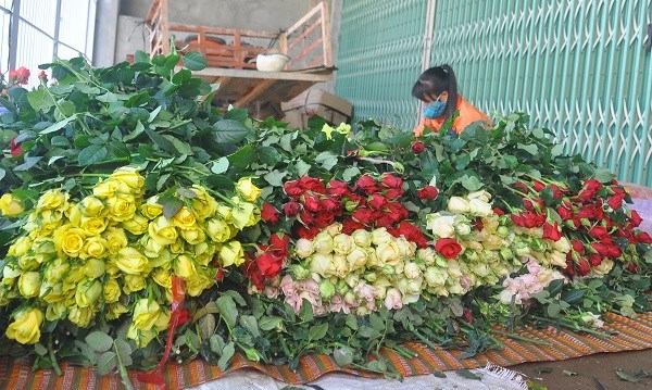 Lâm Đồng: Hoa hồng tăng mạnh dịp lễ tình nhân Valentine - Anh 1