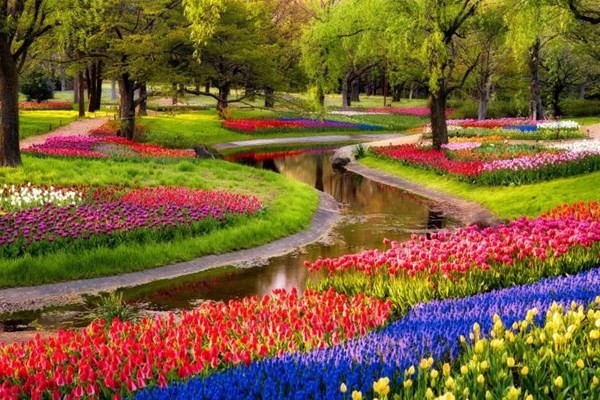 Vòng quanh thế giới ngắm những vườn tulip vạn người mê - Anh 3