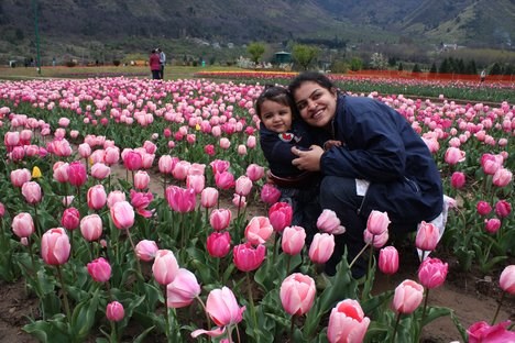 Vòng quanh thế giới ngắm những vườn tulip vạn người mê - Anh 2