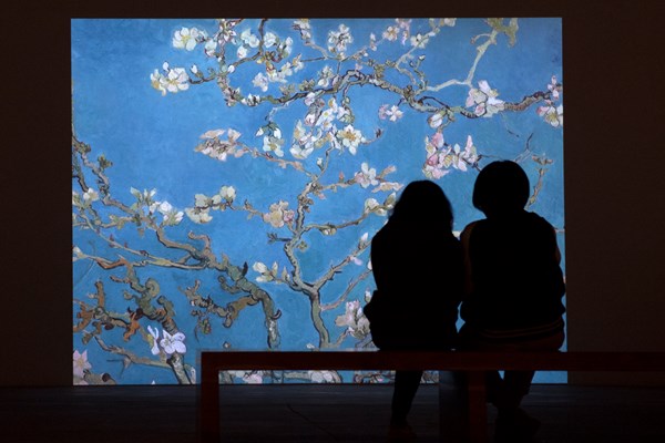 Vừa khai mạc, triển lãm Van Gogh đón hơn 10.000 lượt khách tham quan - Anh 9