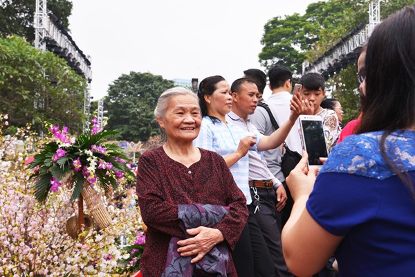 Lễ hội hoa anh đào Nhật Bản - Hà Nội 2019 kéo dài thêm 1 ngày - Anh 8