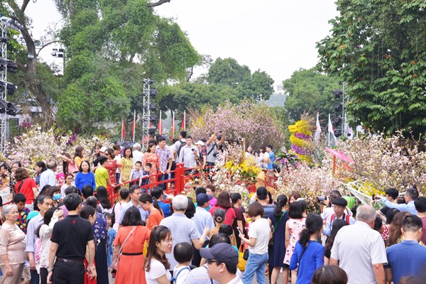 Lễ hội hoa anh đào Nhật Bản - Hà Nội 2019 kéo dài thêm 1 ngày - Anh 11