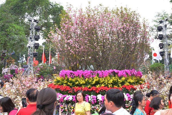 Lễ hội hoa anh đào Nhật Bản - Hà Nội 2019 kéo dài thêm 1 ngày - Anh 3