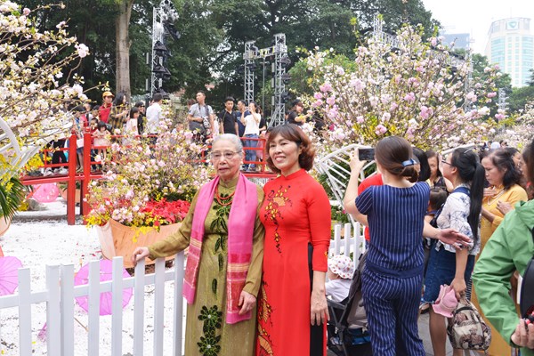 Lễ hội hoa anh đào Nhật Bản - Hà Nội 2019 kéo dài thêm 1 ngày - Anh 4