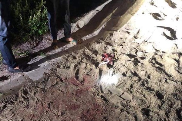 Đàn chó 10 con cắn bé trai 7 tuổi tử vong ở Hưng Yên - Anh 2