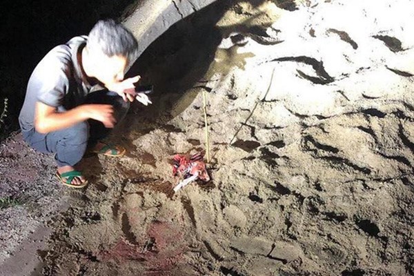 Đàn chó 10 con cắn bé trai 7 tuổi tử vong ở Hưng Yên - Anh 1