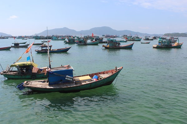 Kiên Giang kết hợp bảo tồn biển với phát triển du lịch sinh thái - Anh 1