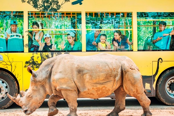Tê giác con đầu tiên chào đời tại Vinpearl Safari Phú Quốc - Anh 5