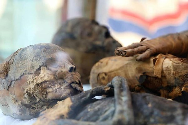 Phát hiện hàng loạt xác ướp trong mộ 2.000 năm ở Ai Cập - Anh 1
