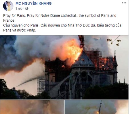 Nghệ sĩ Việt bàng hoàng khi nhà thờ Đức Bà Paris chìm trong biển lửa - Anh 6