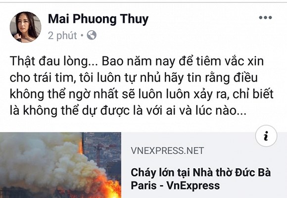 Nghệ sĩ Việt bàng hoàng khi nhà thờ Đức Bà Paris chìm trong biển lửa - Anh 7