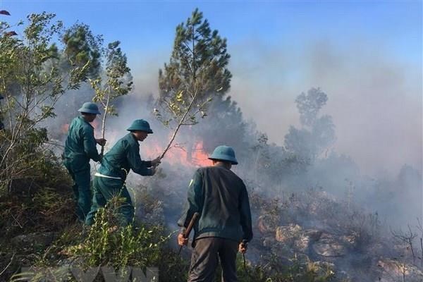 Nắng nóng, nhiều vụ cháy rừng xảy ở Điện Biên, Lai Châu và Sơn La - Anh 1