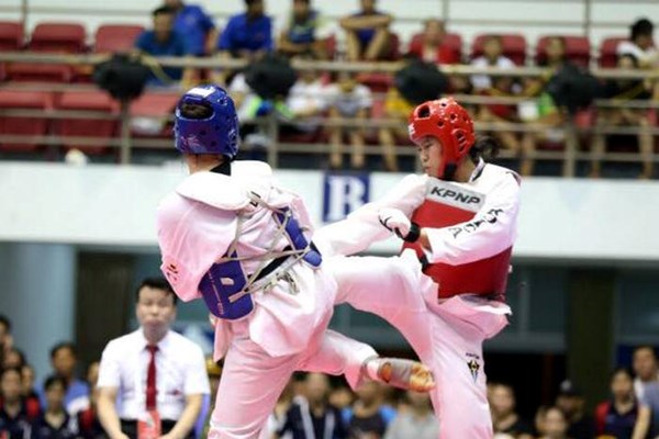 TP.HCM dẫn đầu tại Giải Taekwondo các lứa tuổi trẻ toàn quốc CJ - Anh 1