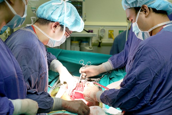 Bệnh viện Việt Đức: Ca ghép phổi thứ hai và 15 ca ghép tạng trong tuần - Anh 1